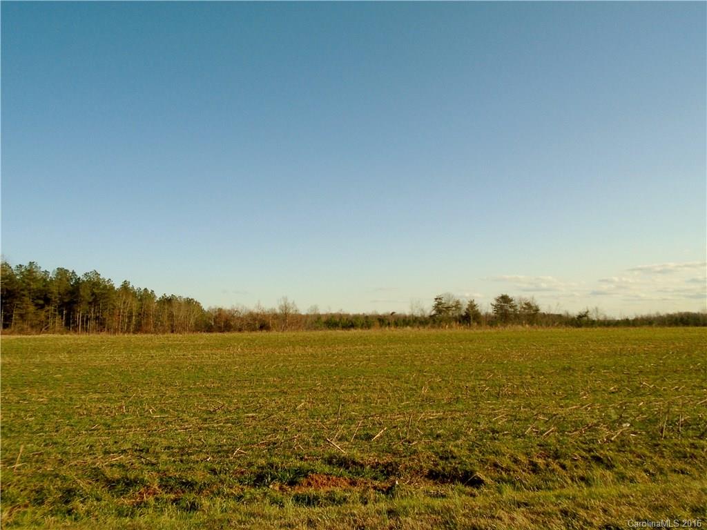 5127 Flay Road Lincolnton, NC 28092 - Photo 3 of 14 Gallery Image 3