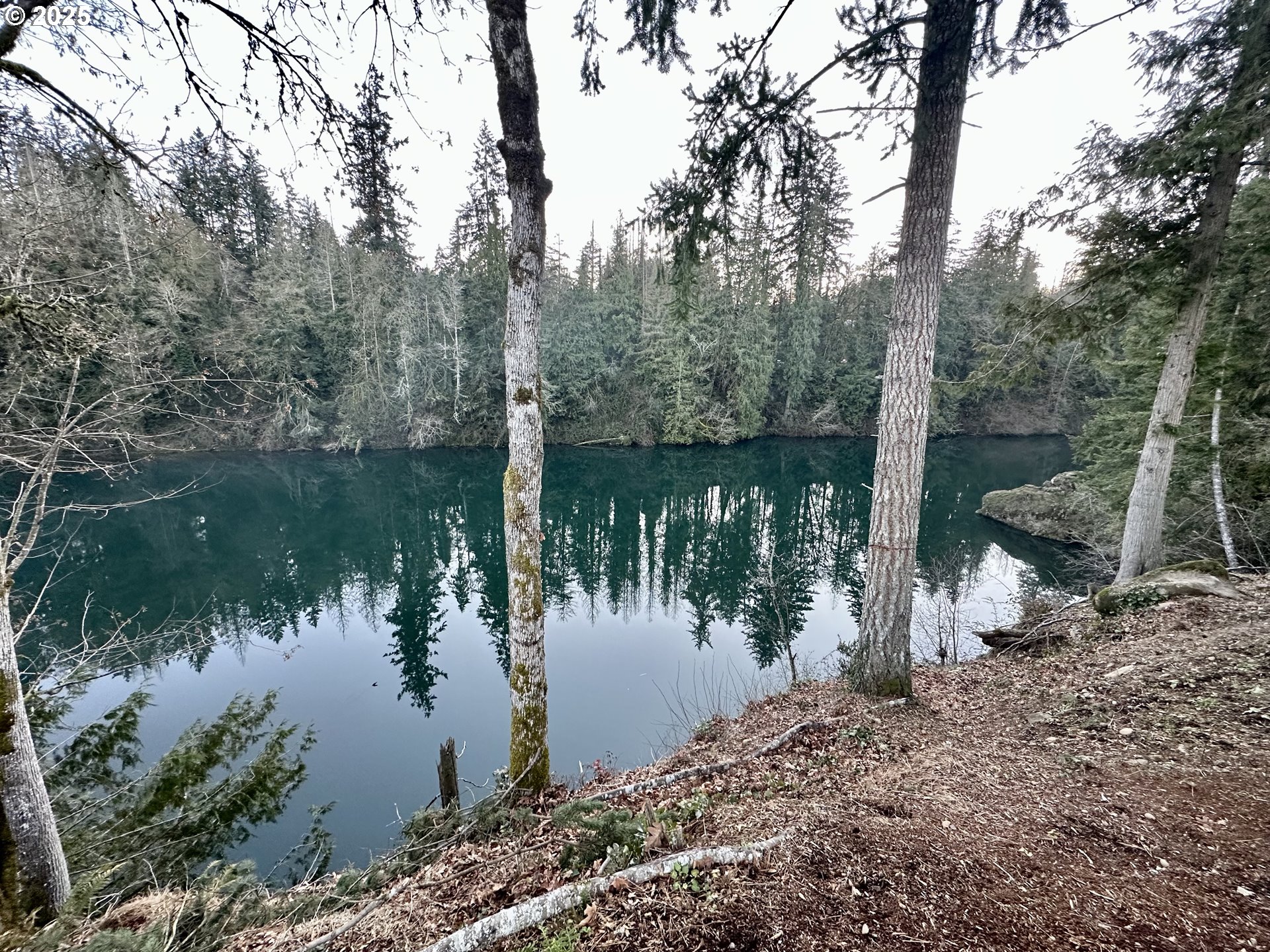 457 Southwest Forest Road Estacada, OR 97023 - Photo 28 of 31 a body of water with a tree in the background