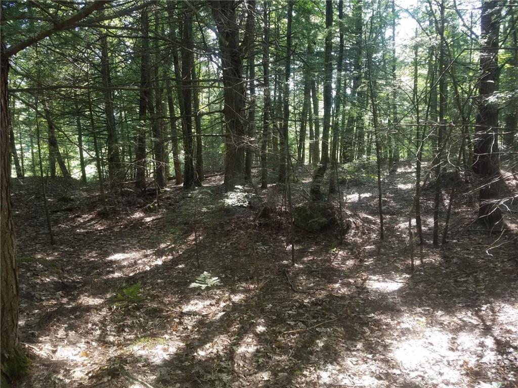 Lot 7 Bell Marsh Road York, ME 03909 - Photo 14 of 18 Photo