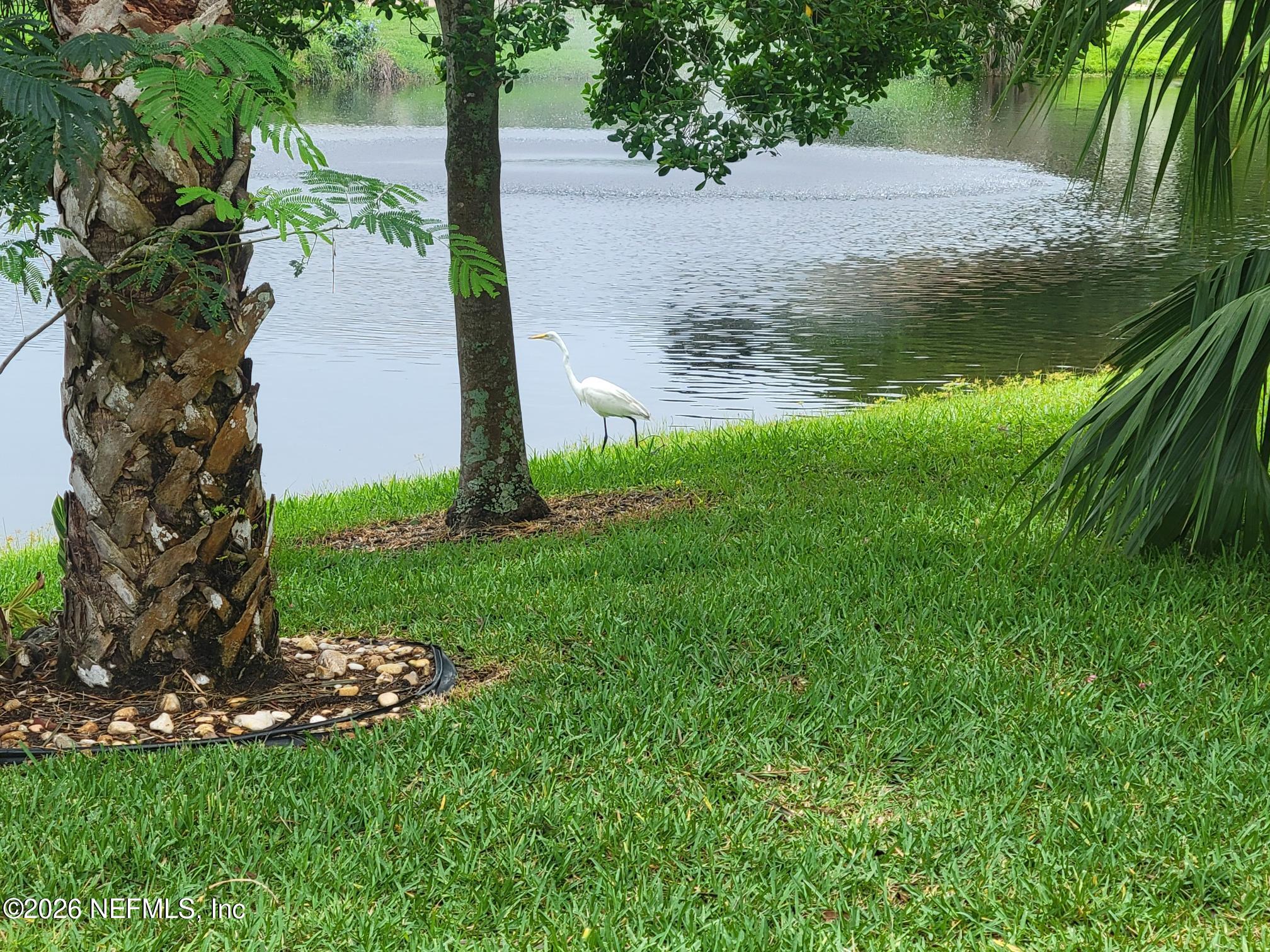 1121 Compass Row St. Augustine, FL 32080 - Photo 12 of 15 1121 Compass pond 2