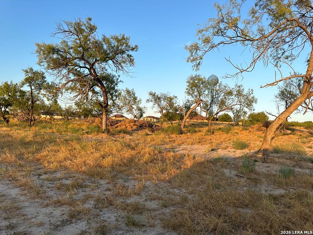 875 Ritchie Road Eagle Pass, TX 78852 - Photo 5 of 9