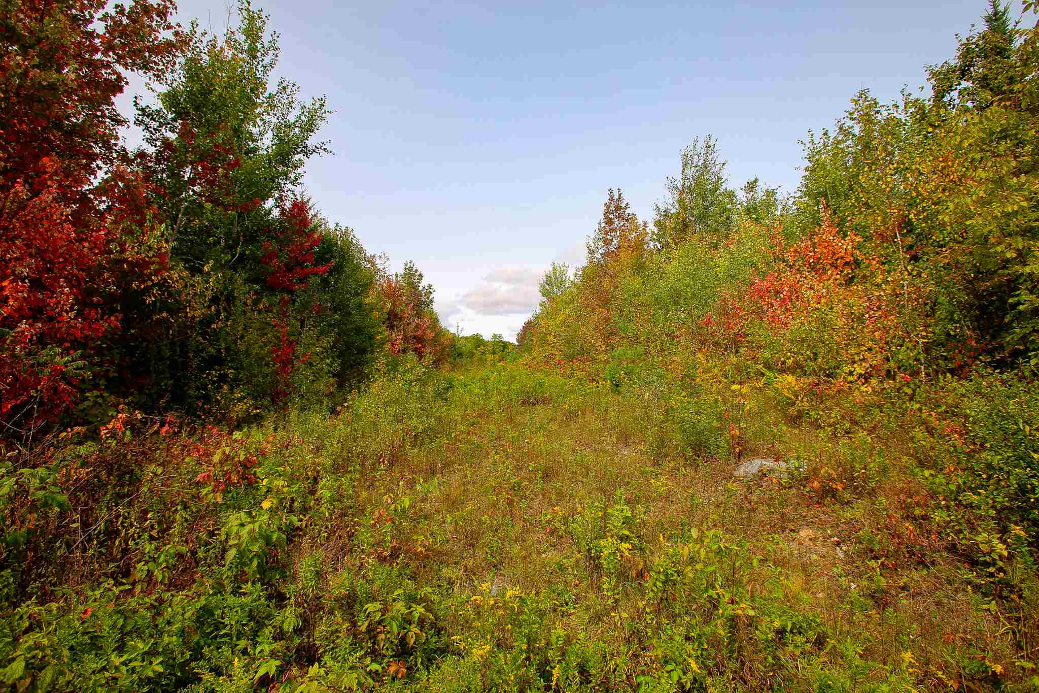8000 Bear Hill Road Maidstone, VT 05905 - Photo 20 of 40