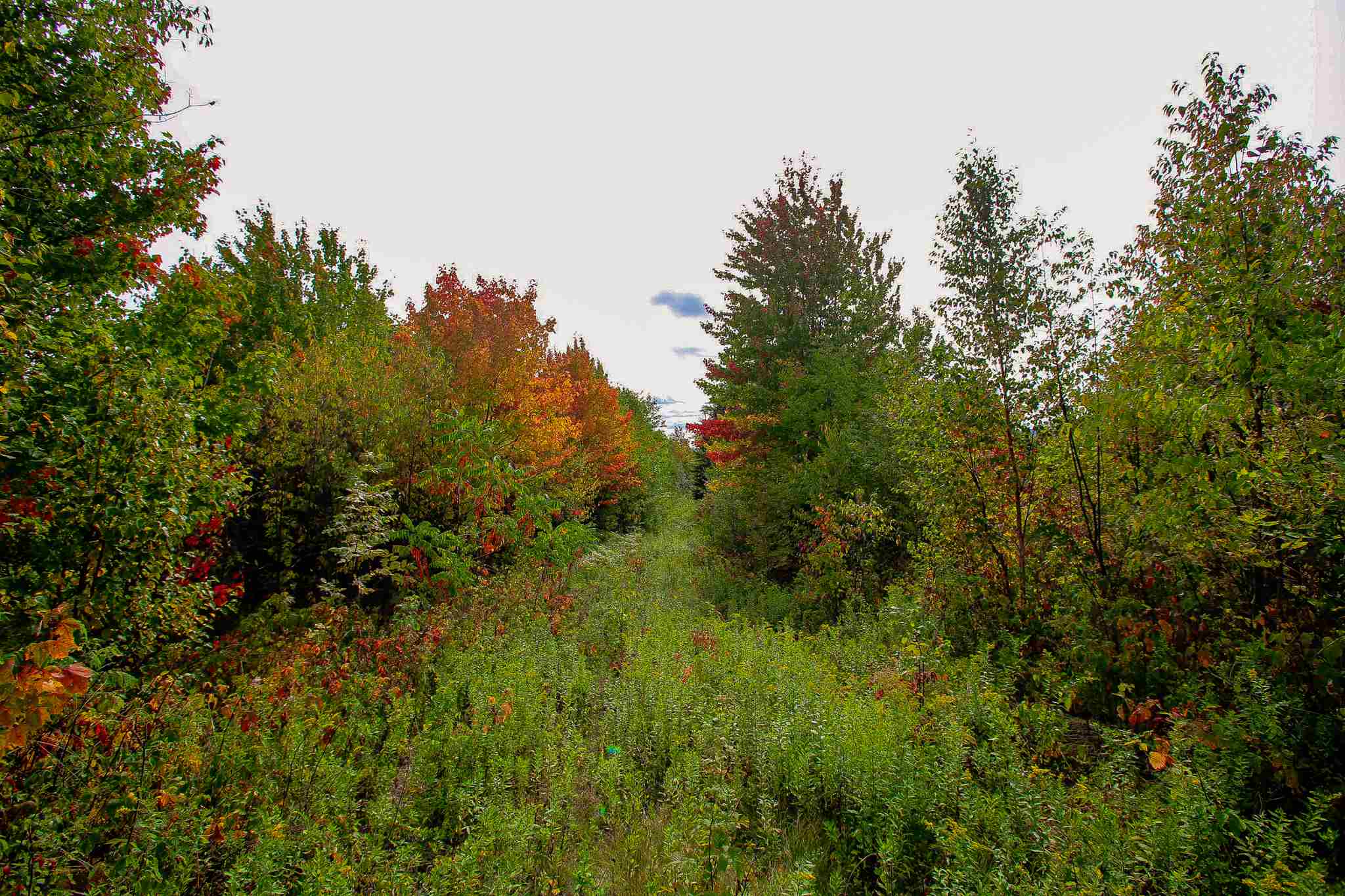 8000 Bear Hill Road Maidstone, VT 05905 - Photo 21 of 40