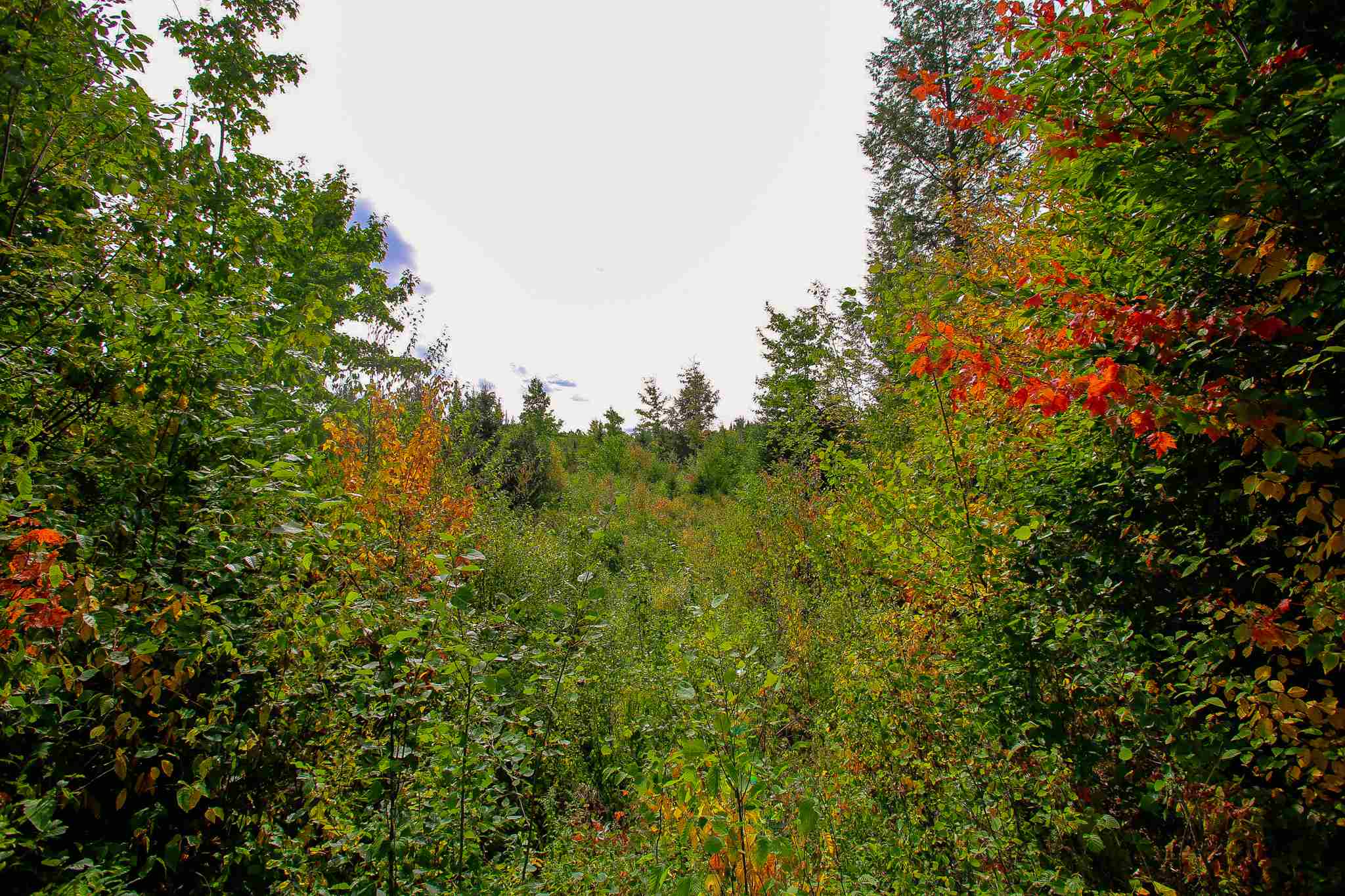8000 Bear Hill Road Maidstone, VT 05905 - Photo 23 of 40