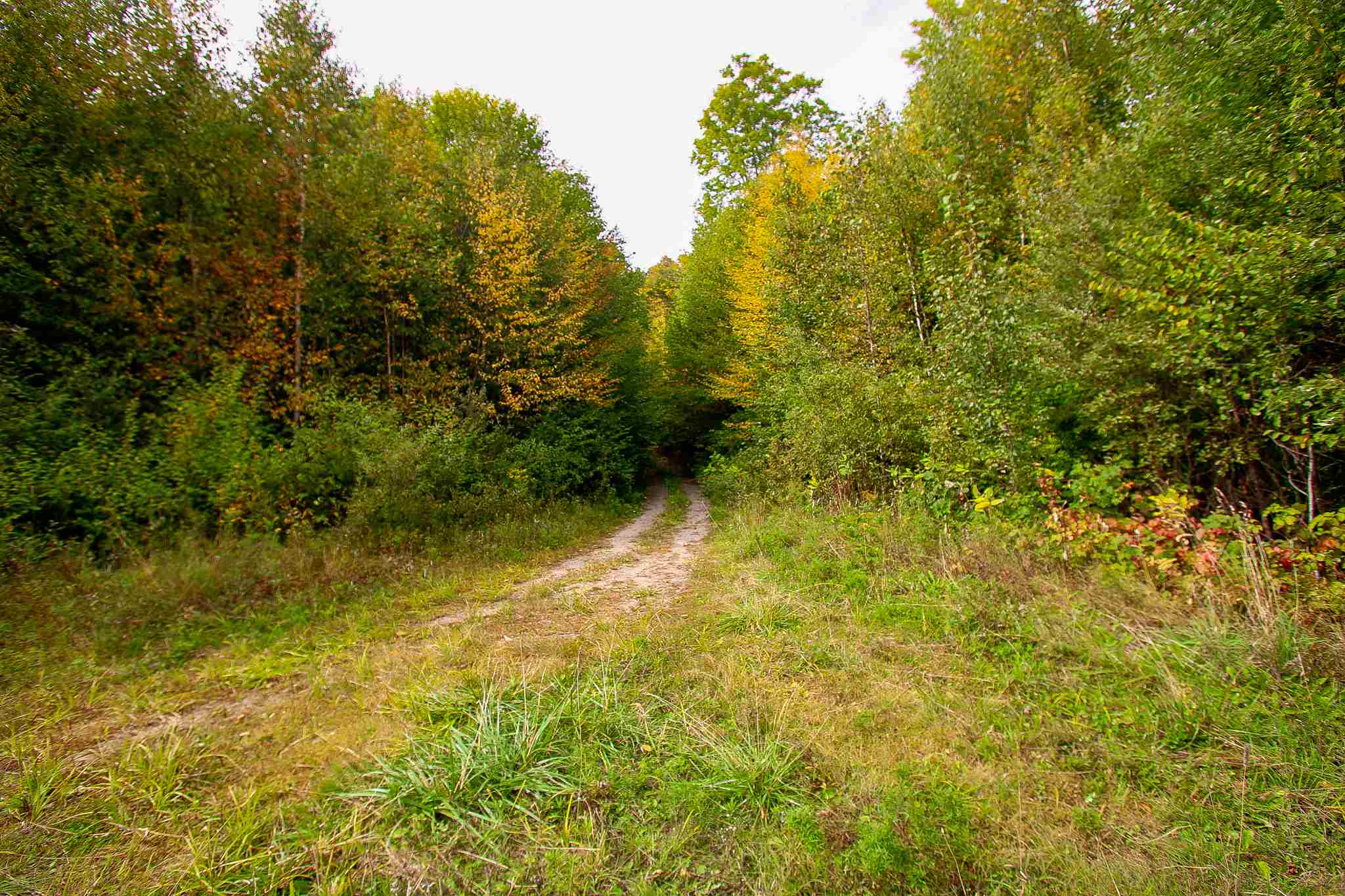 8000 Bear Hill Road Maidstone, VT 05905 - Photo 27 of 40