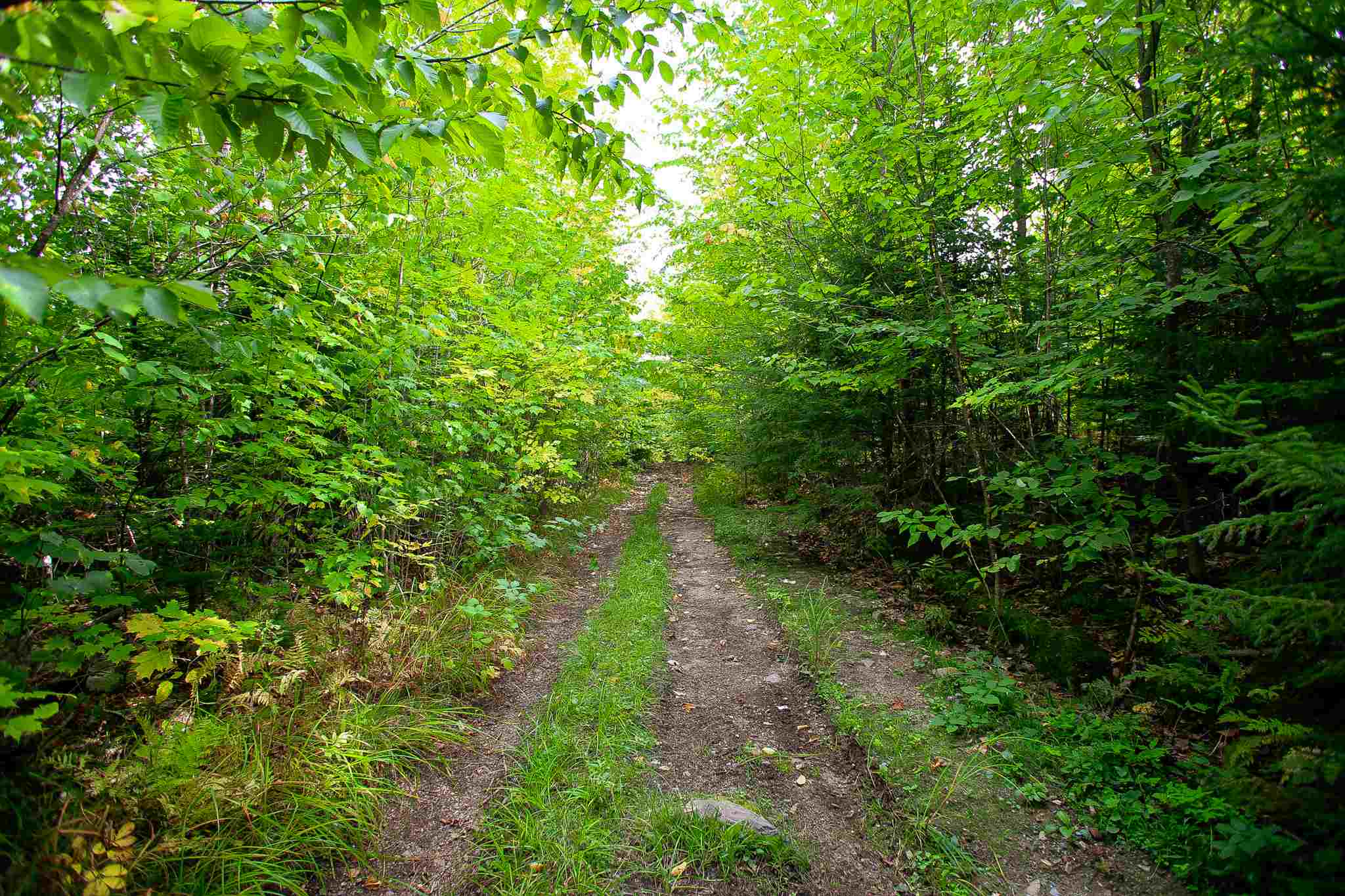 8000 Bear Hill Road Maidstone, VT 05905 - Photo 30 of 40