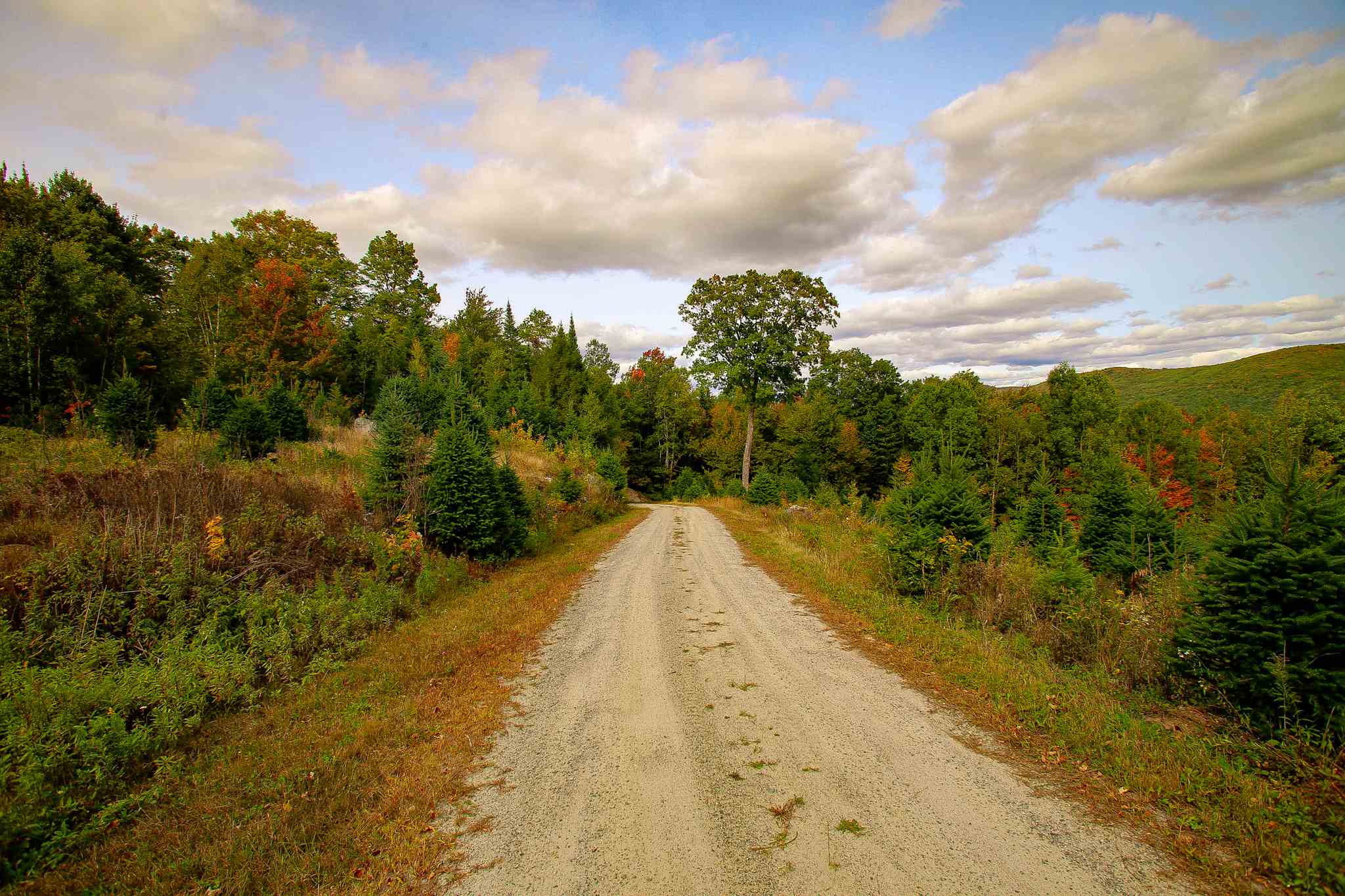 8000 Bear Hill Road Maidstone, VT 05905 - Photo 35 of 40