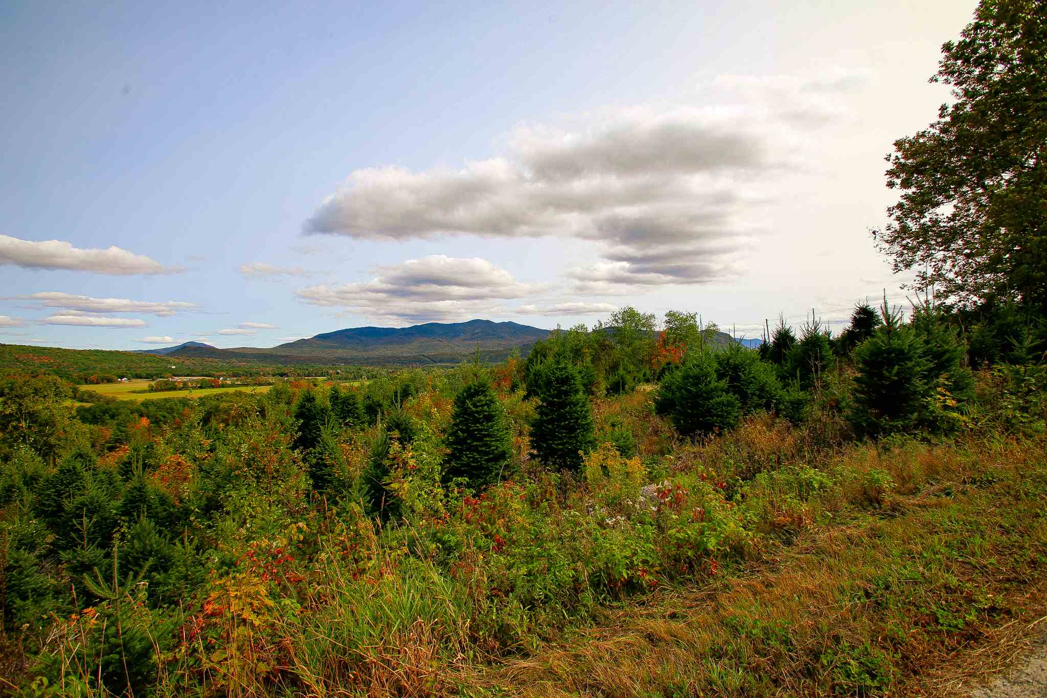 8000 Bear Hill Road Maidstone, VT 05905 - Photo 38 of 40