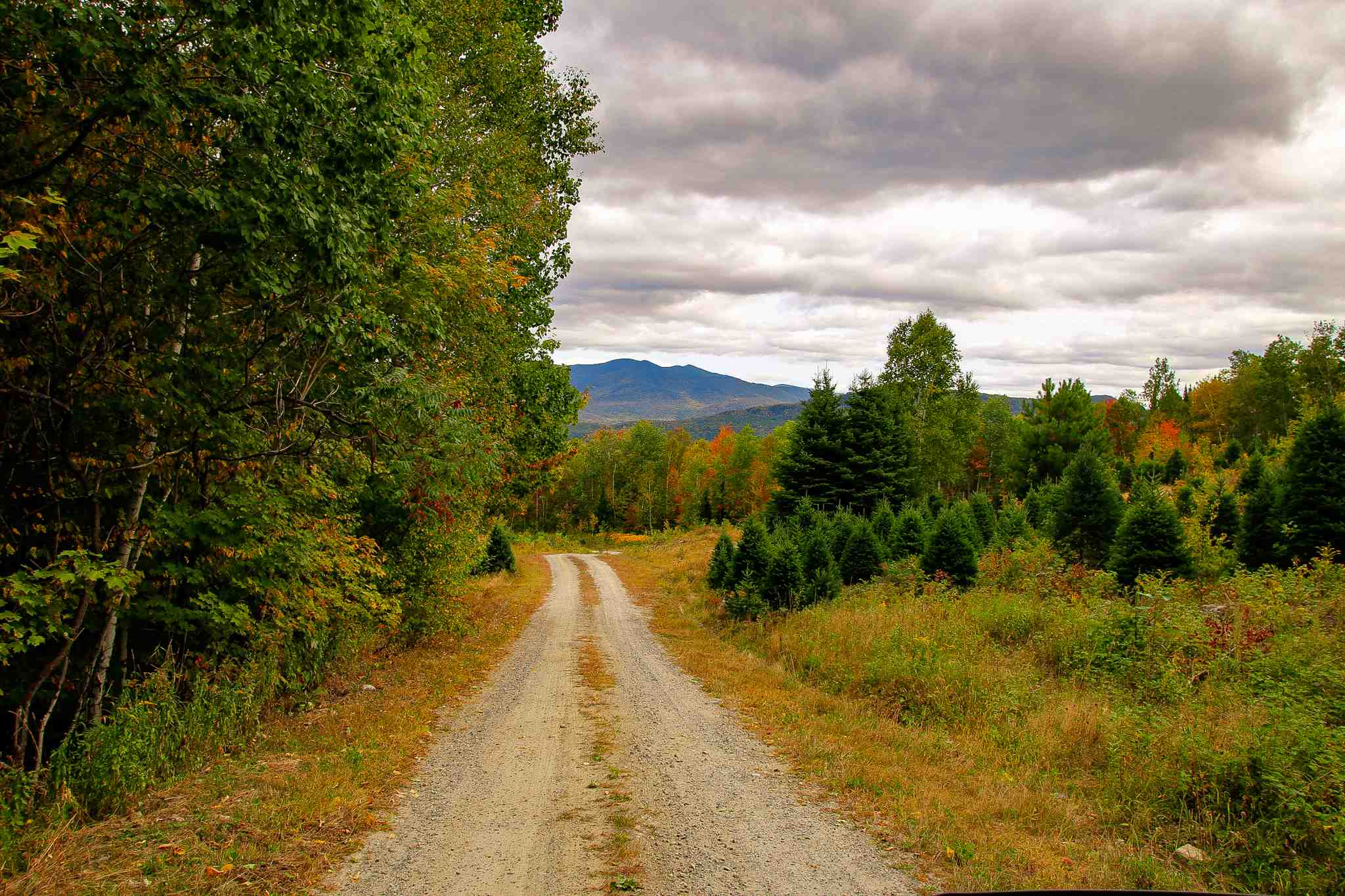 8000 Bear Hill Road Maidstone, VT 05905 - Photo 39 of 40