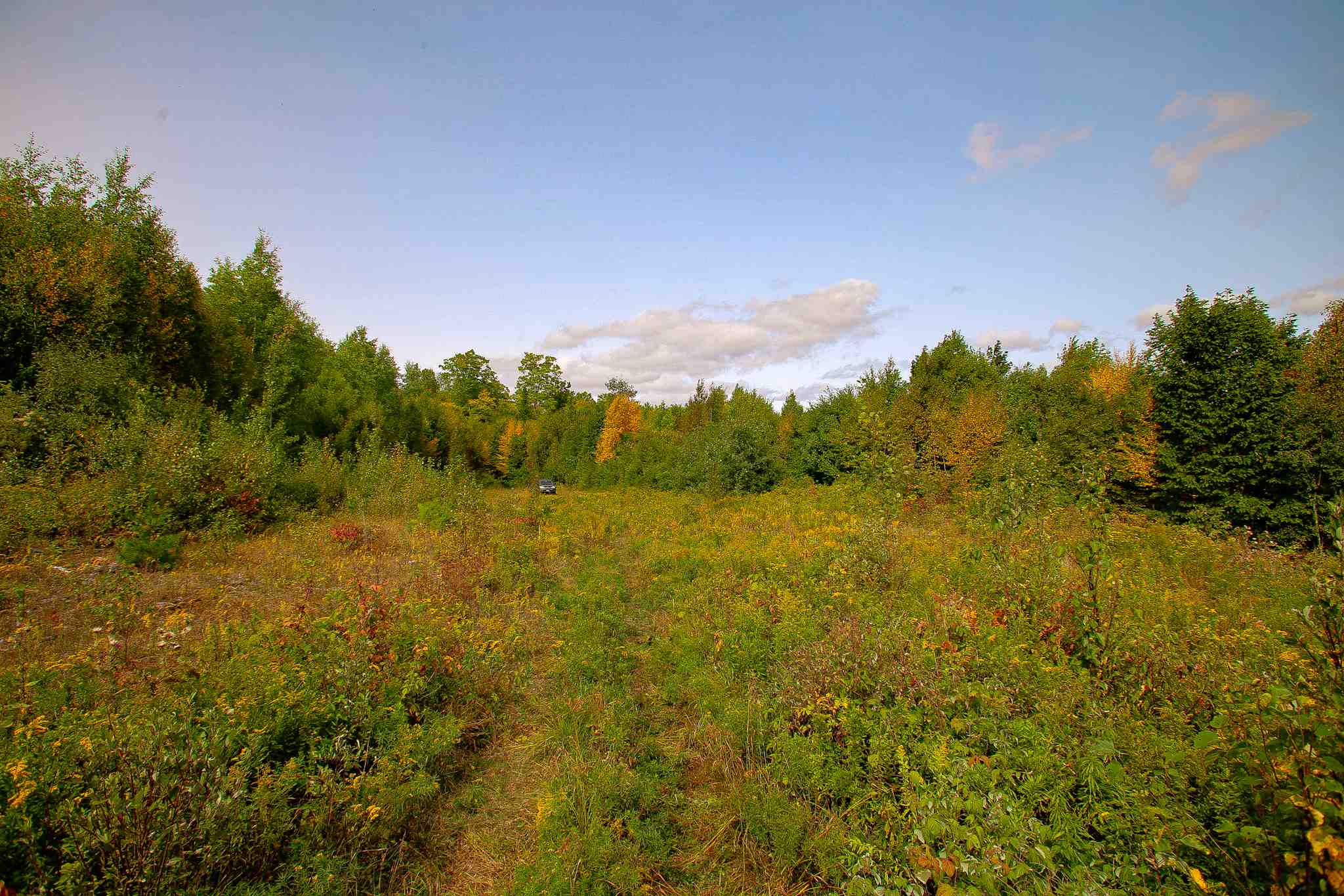 8000 Bear Hill Road Maidstone, VT 05905 - Photo 6 of 40
