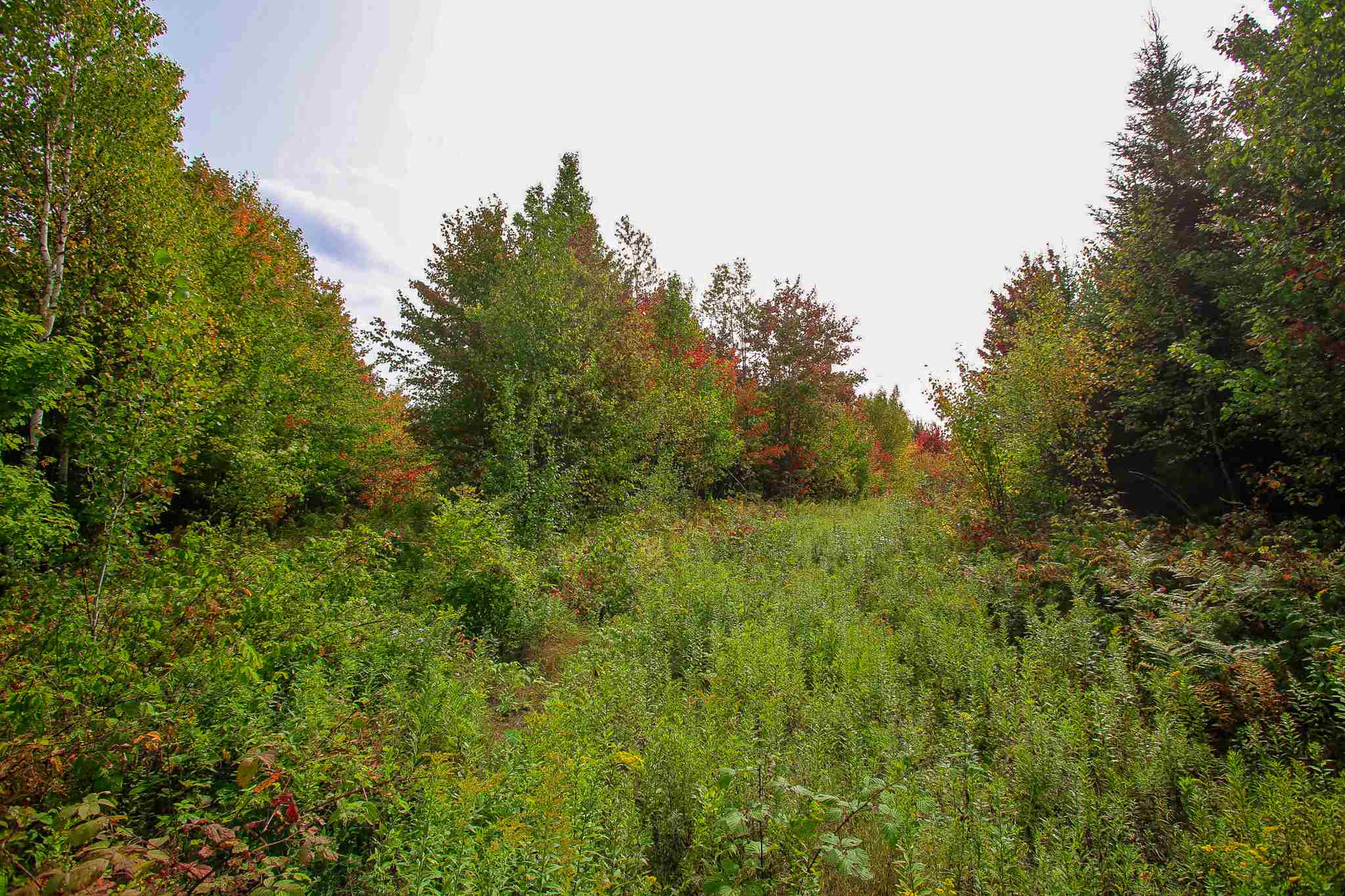 8000 Bear Hill Road Maidstone, VT 05905 - Photo 9 of 40
