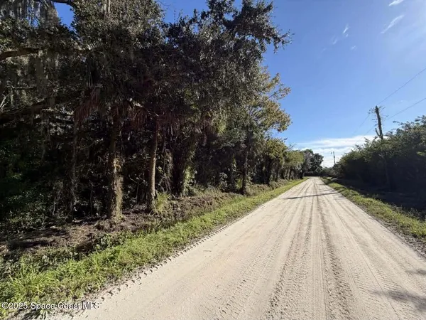 a view of backyard space