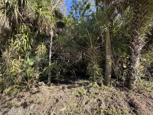 a view of a yard with plants and trees