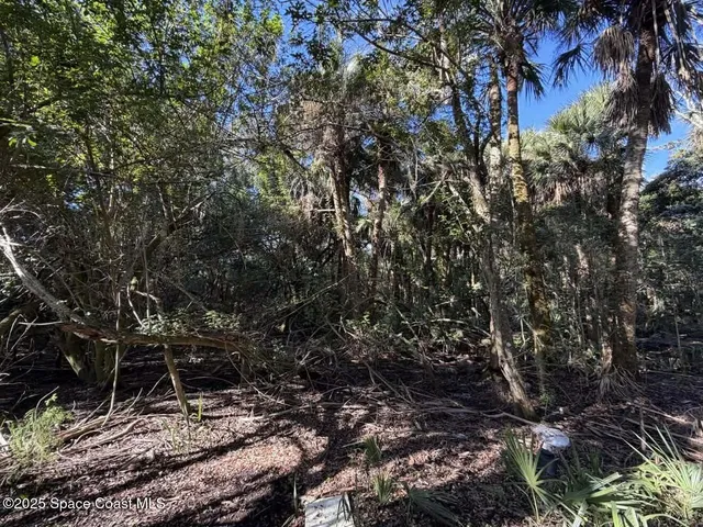a backyard of a house