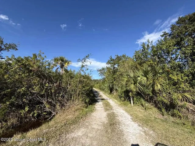 a view of a yard with a tree