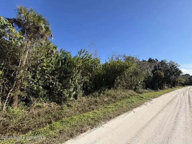 a view of a pathway both side of grassy field with trees