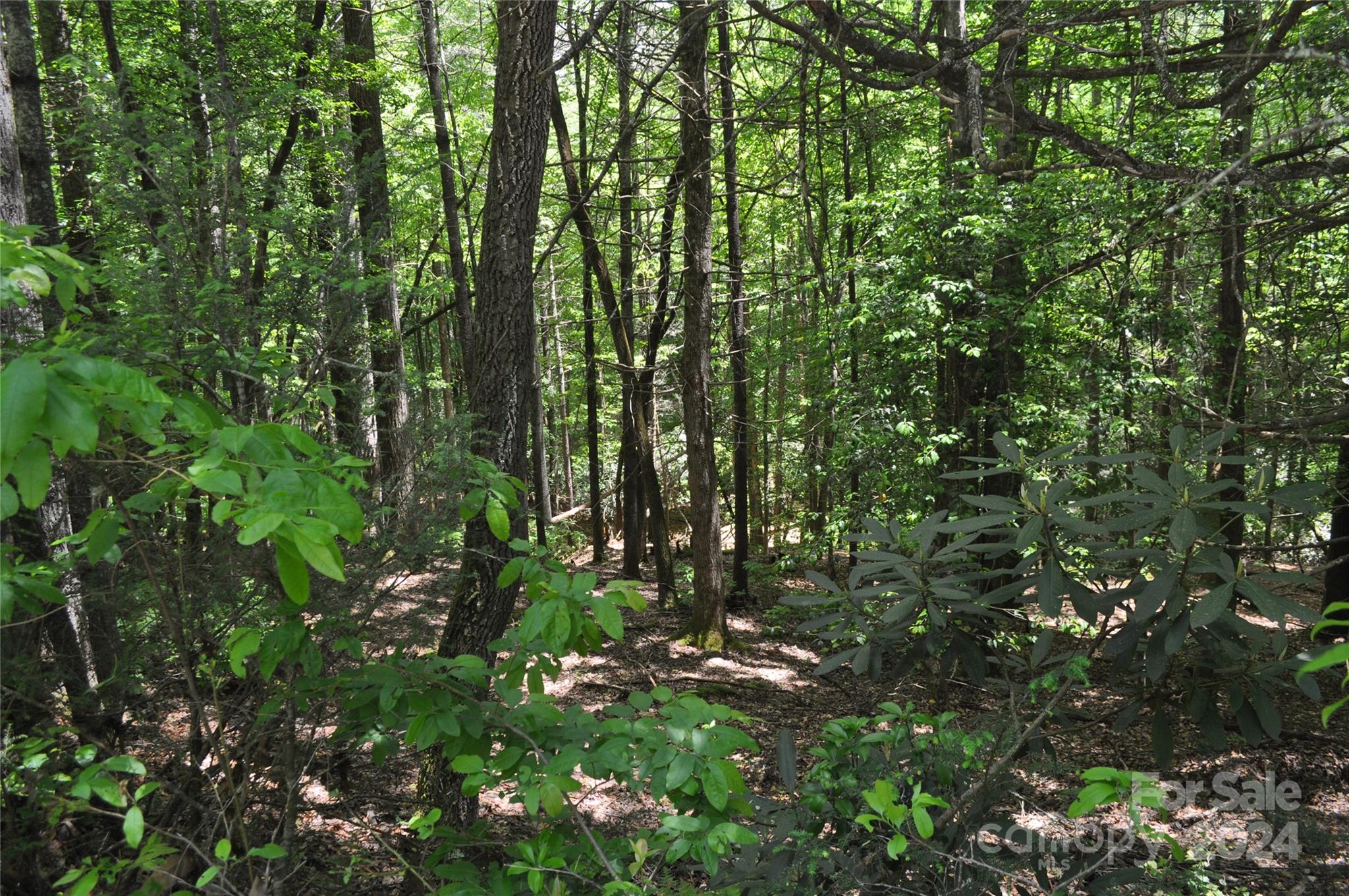 Tbd Deerlake Road, Unit 12 Brevard, NC 28712 - Photo 8 of 9 Gallery Image 8