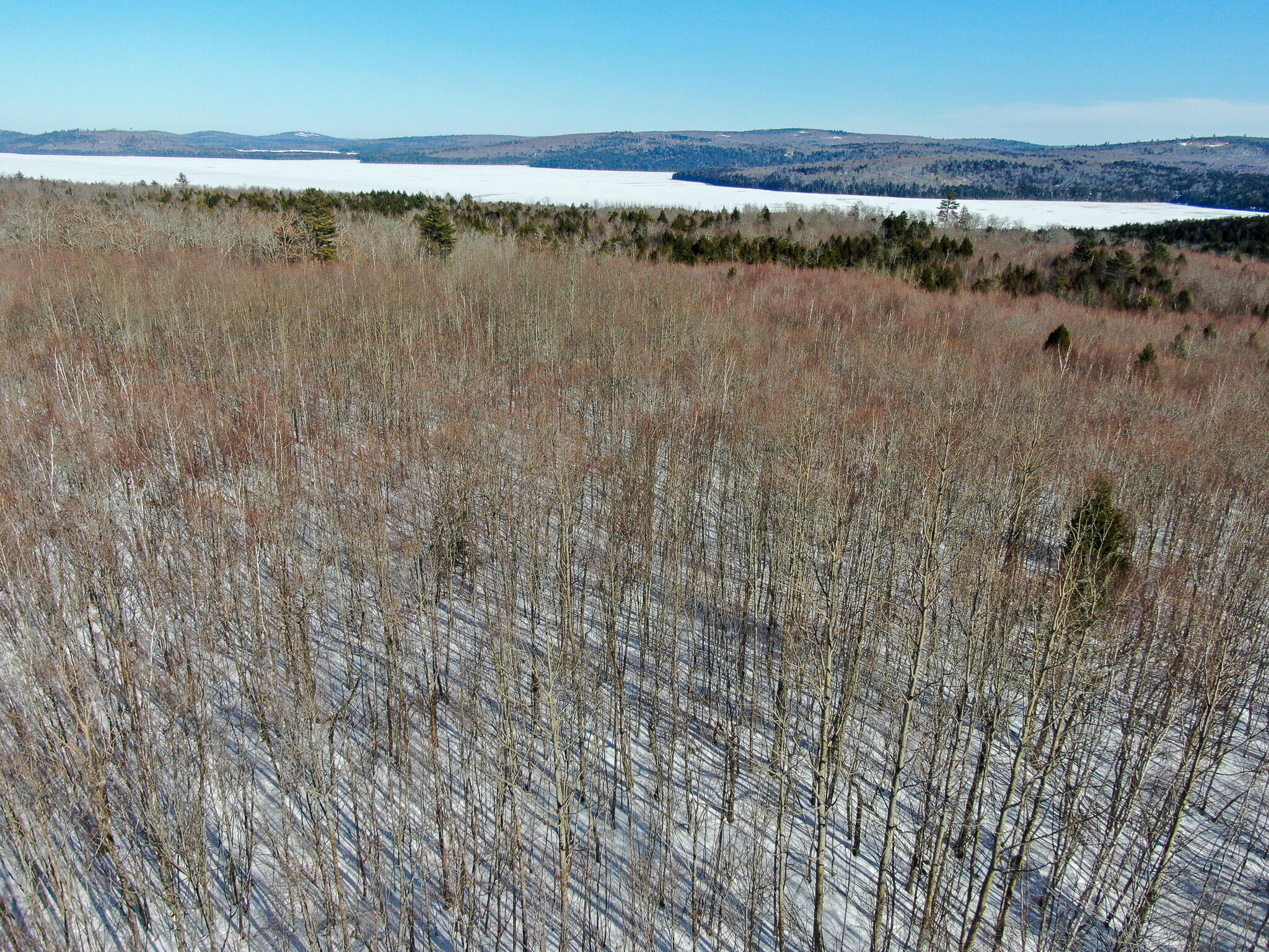 575 West Old Main Road Lowell, ME 04493 - Photo 6 of 16 DJI_0104