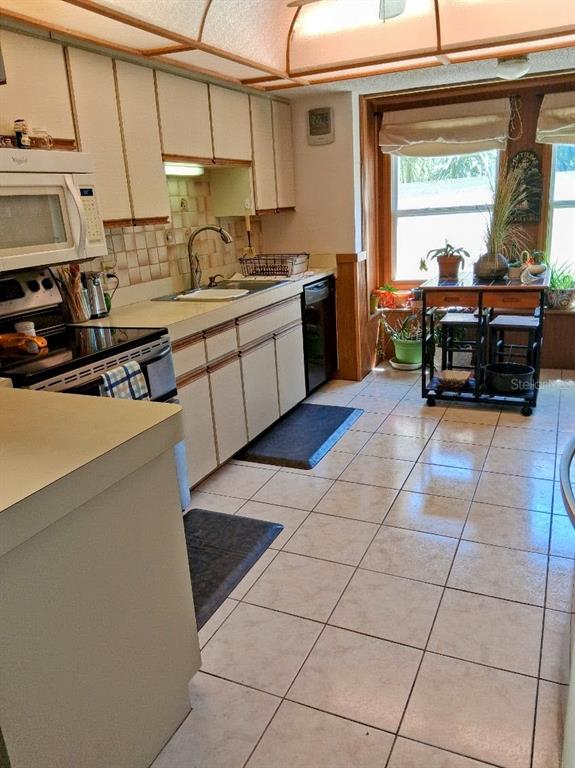 6231 Wayside Court Spring Hill, FL 34606 - Photo 16 of 34