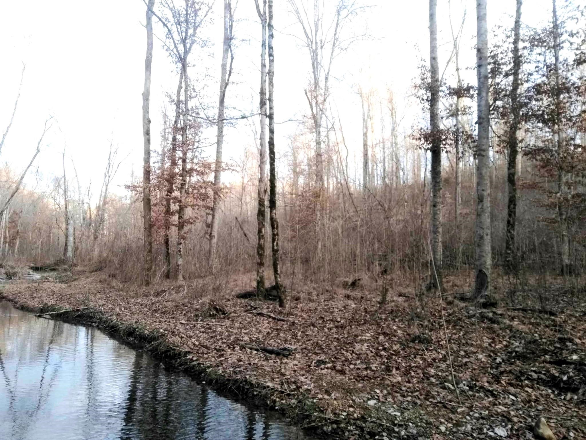 View of nature with a nearby body of water