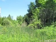0 Campbell Road Elbridge, NY 13060 - Photo 1 of 1