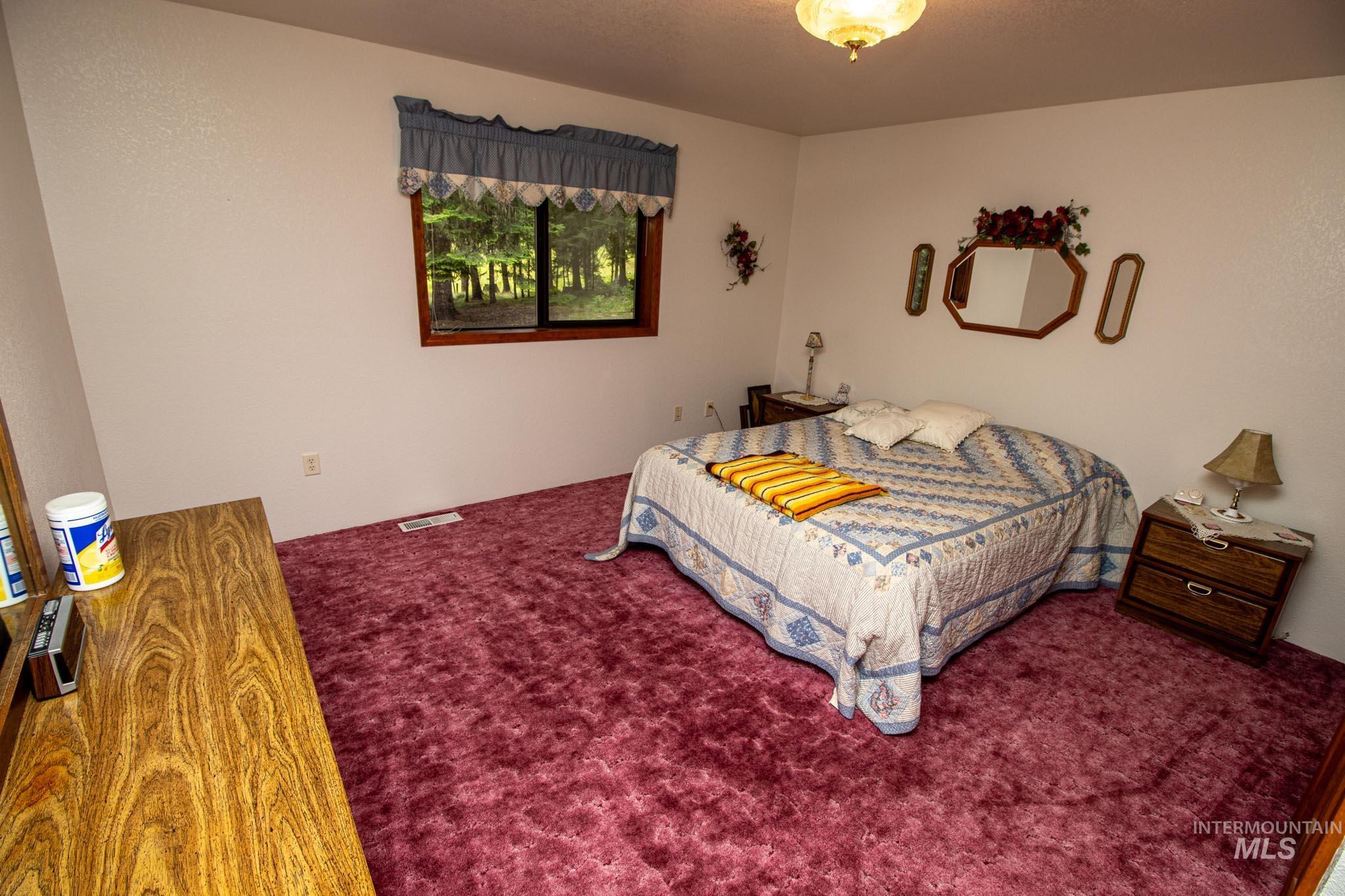20888 Upper Fords Creek Road Weippe, ID 83553 - Photo 17 of 50 Bedroom with carpet flooring