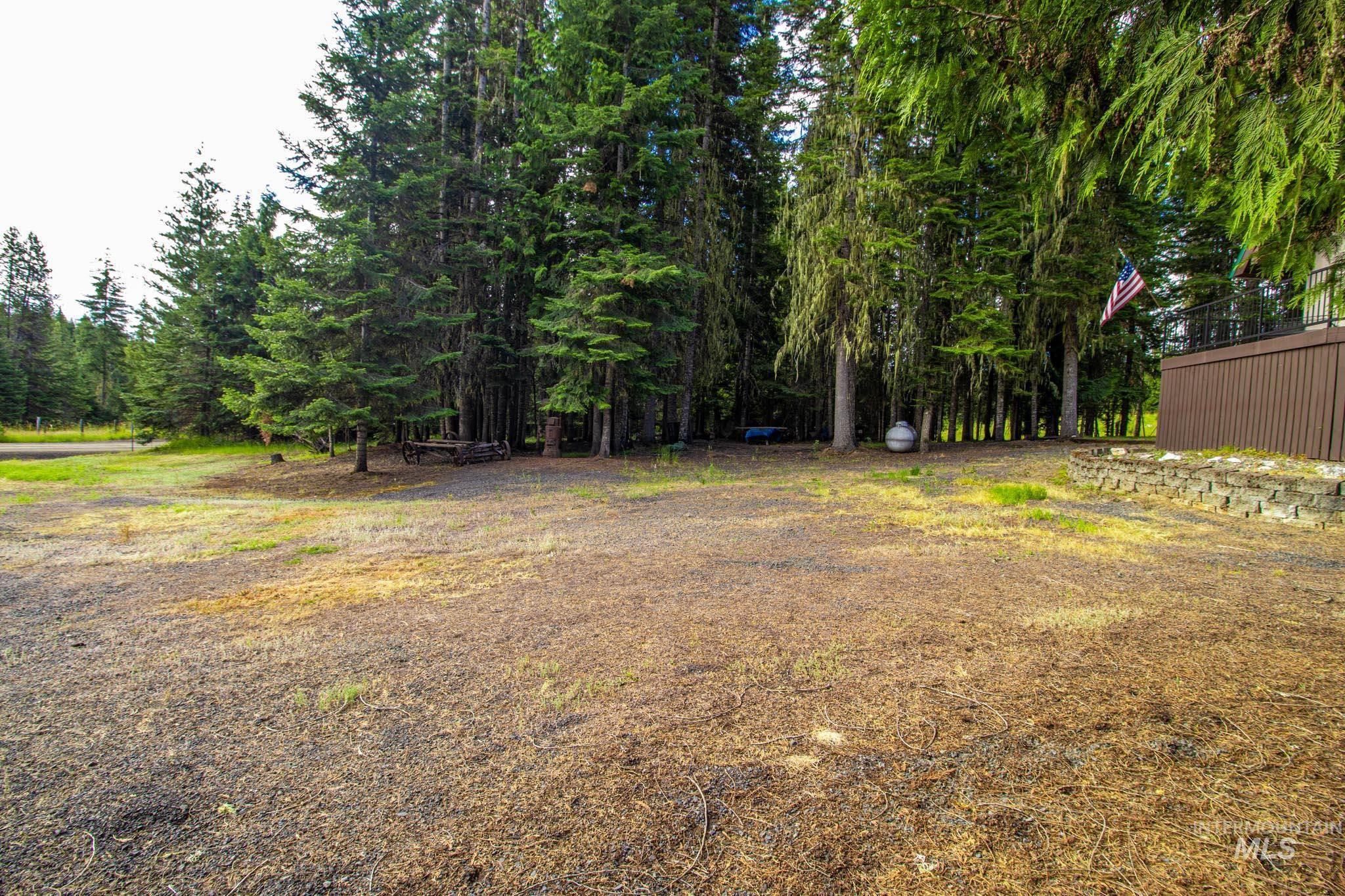 20888 Upper Fords Creek Road Weippe, ID 83553 - Photo 27 of 50 View of yard