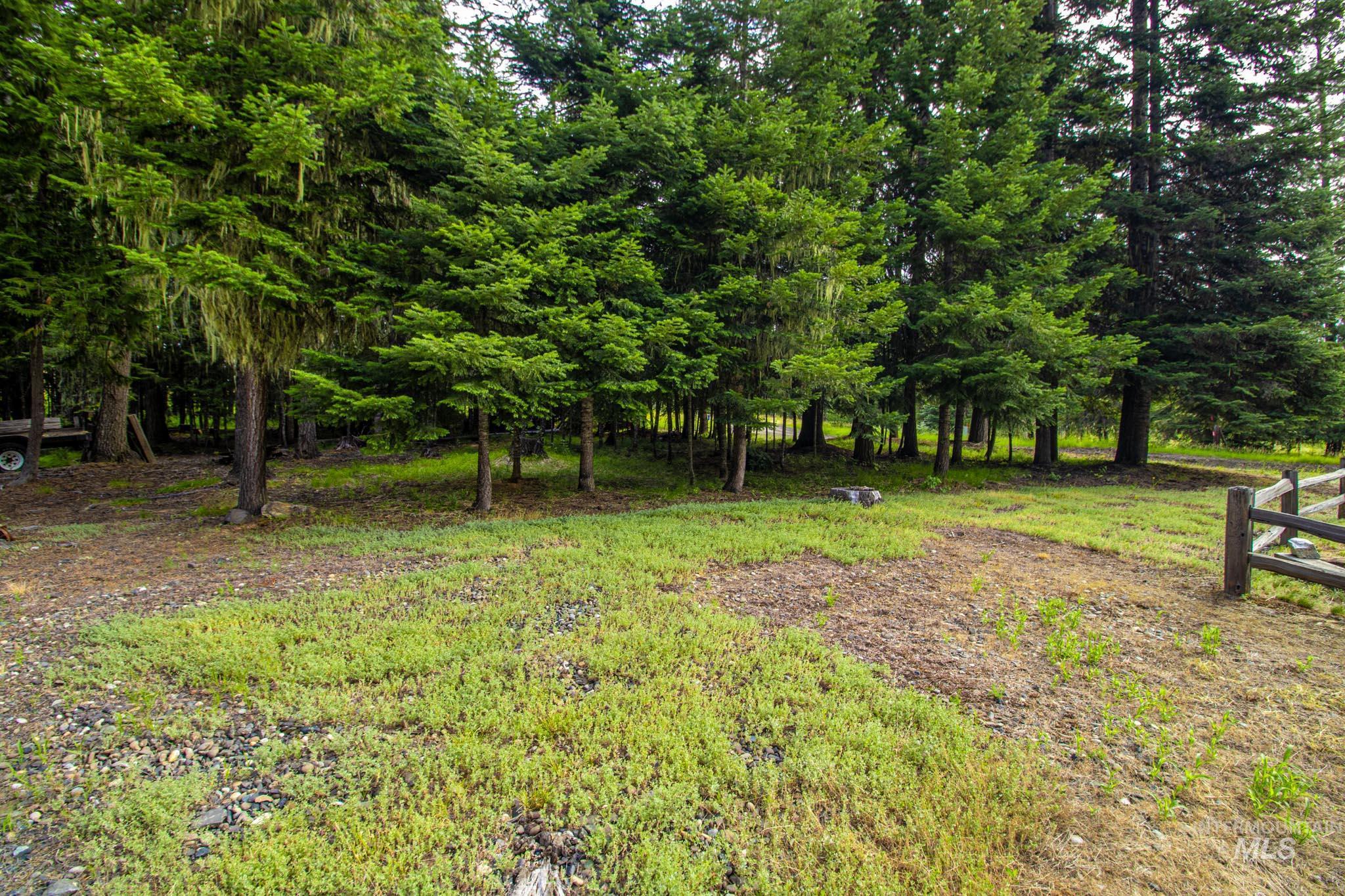 20888 Upper Fords Creek Road Weippe, ID 83553 - Photo 33 of 50 View of yard