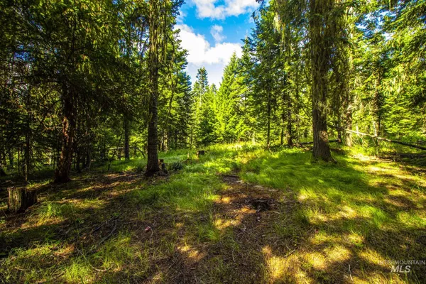 $529,000 | 20888 Upper Fords Creek Road, Weippe, ID 83553