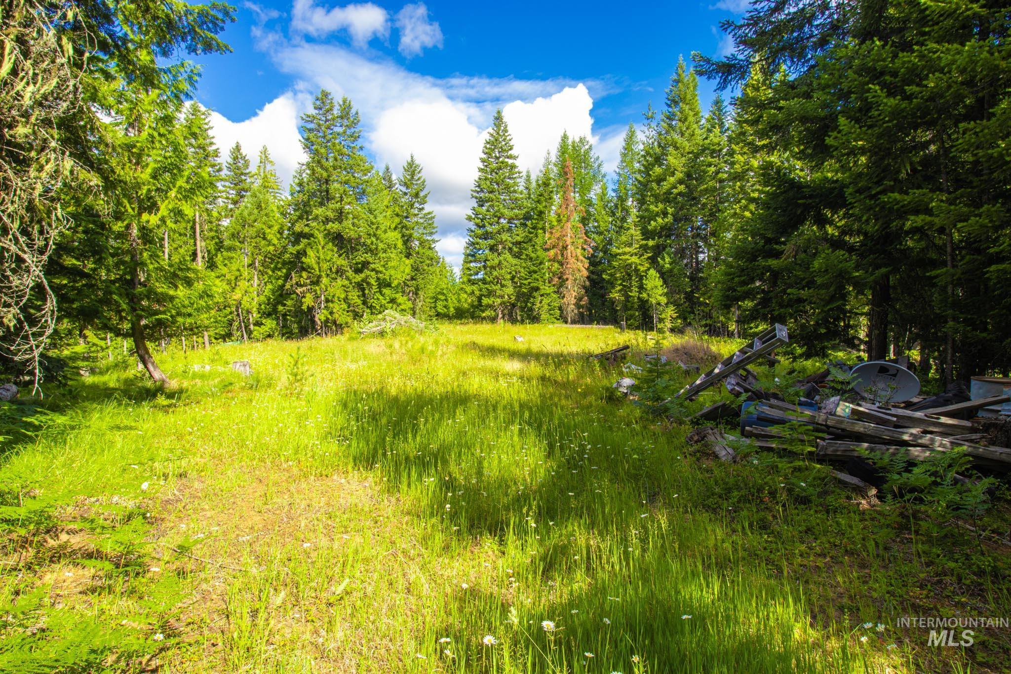 20888 Upper Fords Creek Road Weippe, ID 83553 - Photo 37 of 50 View of nature