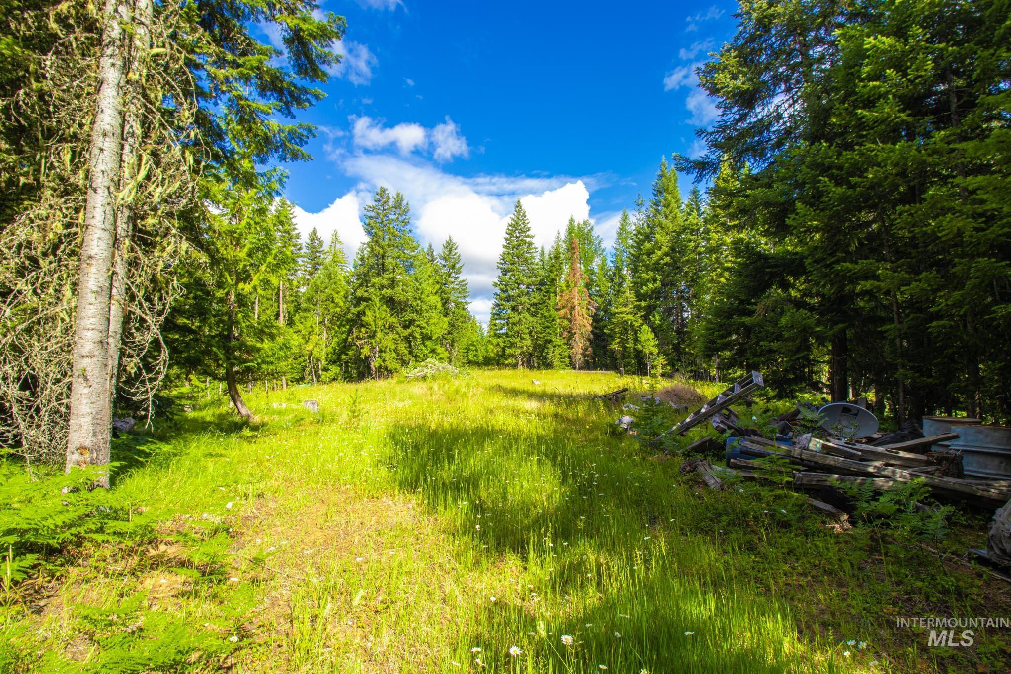 20888 Upper Fords Creek Road Weippe, ID 83553 - Photo 40 of 50 View of yard