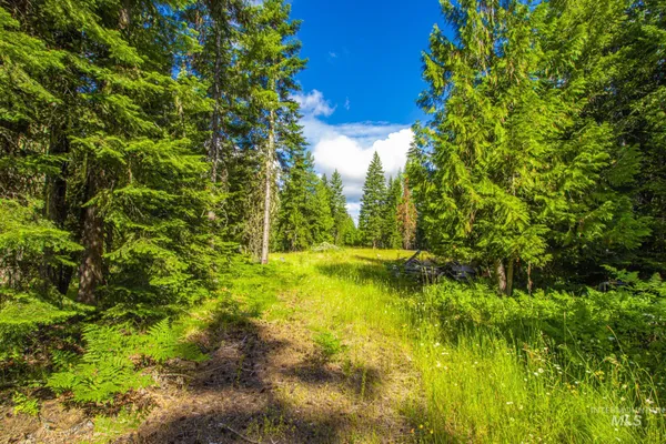 $529,000 | 20888 Upper Fords Creek Road, Weippe, ID 83553