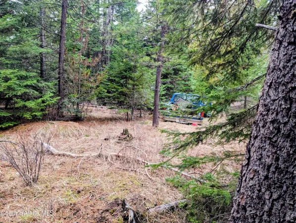 $82,500 | 240 Buckeye Lane, St. Maries, ID 83861
