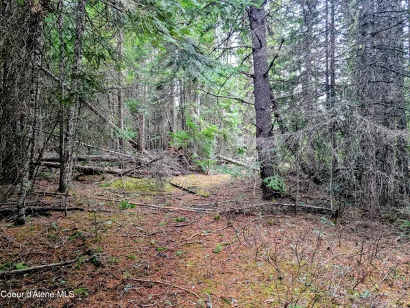 $82,500 | 240 Buckeye Lane, St. Maries, ID 83861