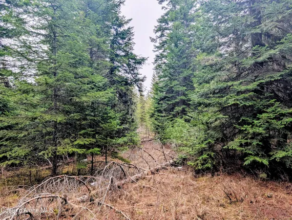 $82,500 | 240 Buckeye Lane, St. Maries, ID 83861