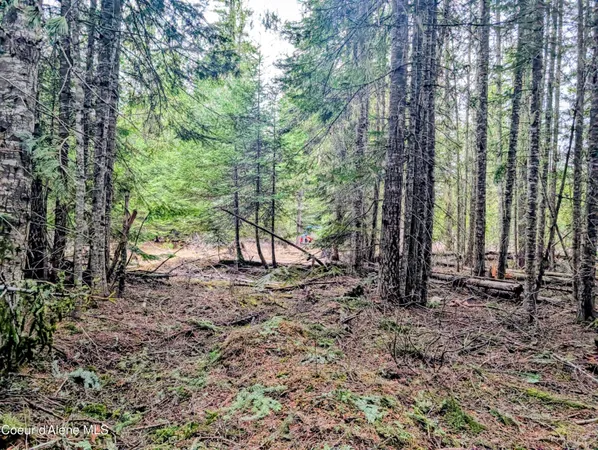$82,500 | 240 Buckeye Lane, St. Maries, ID 83861