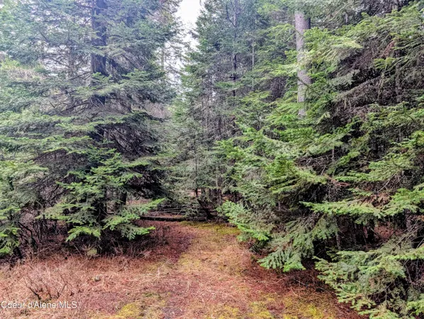 $82,500 | 240 Buckeye Lane, St. Maries, ID 83861