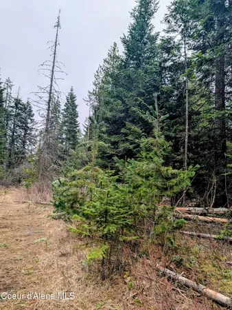 $82,500 | 240 Buckeye Lane, St. Maries, ID 83861