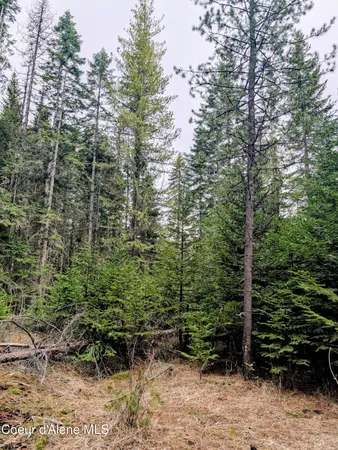 $82,500 | 240 Buckeye Lane, St. Maries, ID 83861