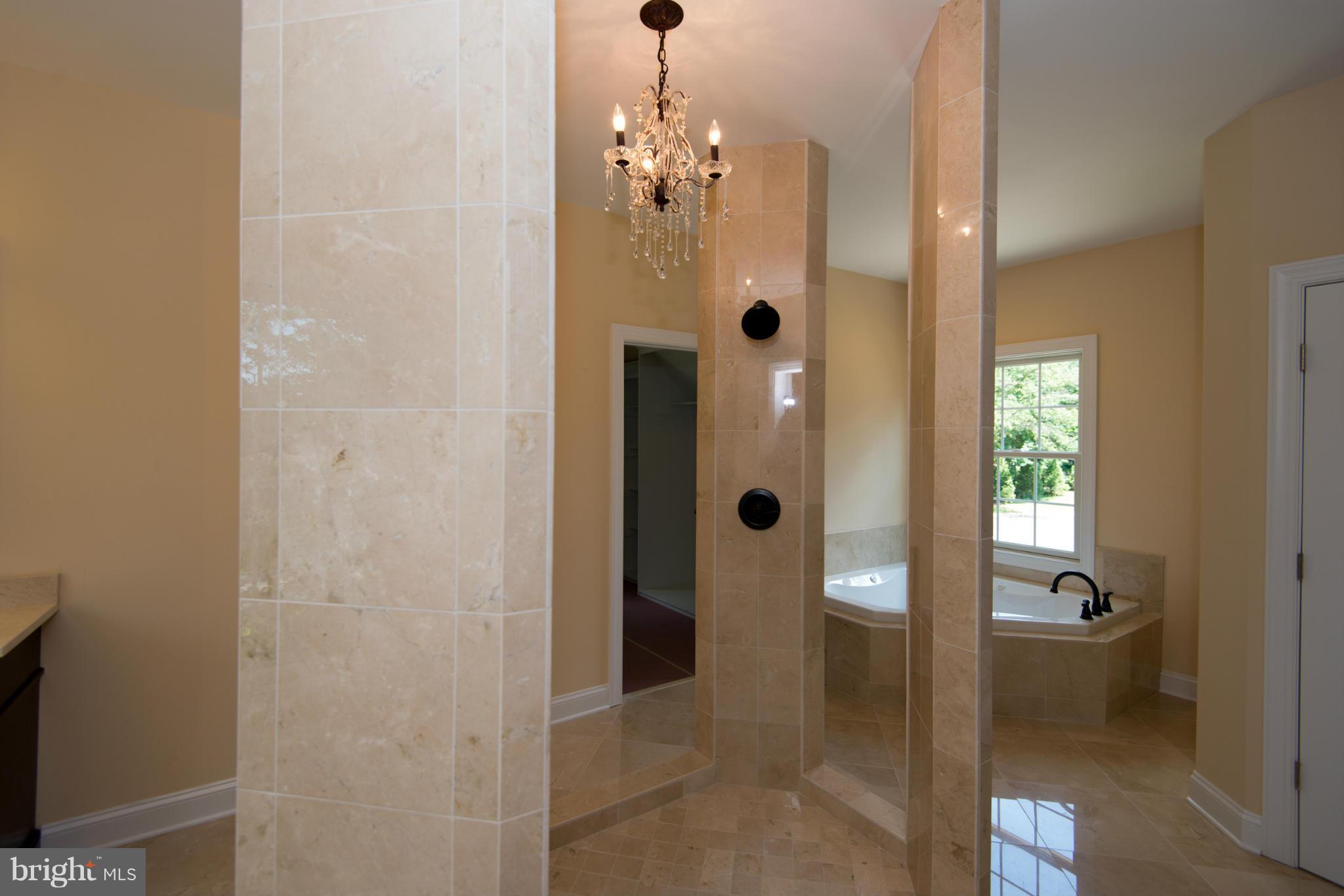 6155 Reza Court Springfield, VA 22152 - Photo 21 of 30 Bath (Master)