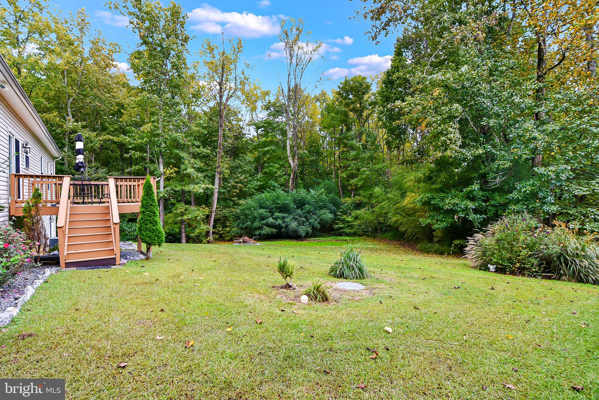 9174 Caledon Road King George, VA 22485 - Photo 31 of 34 Spacious Back Deck & Back Yard View