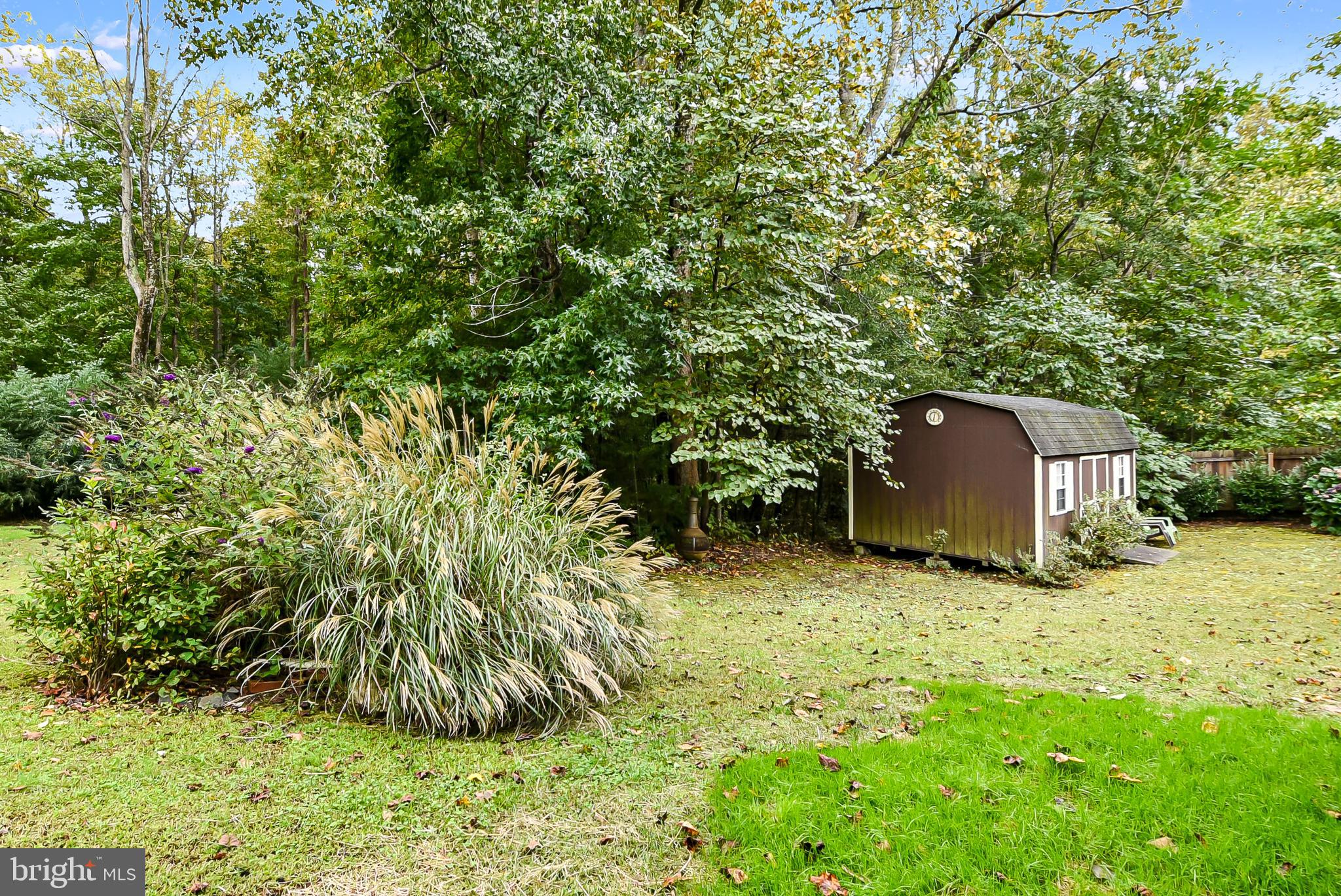9174 Caledon Road King George, VA 22485 - Photo 34 of 34 Back Yard & Large Shed View