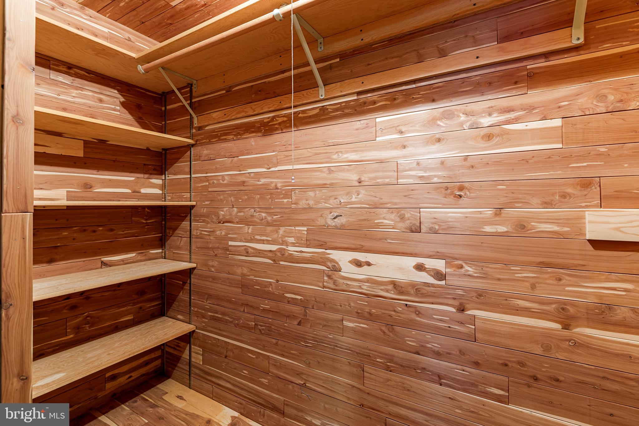 319 Gailridge Road Lutherville-Timonium, MD 21093 - Photo 45 of 56 Cedar closet