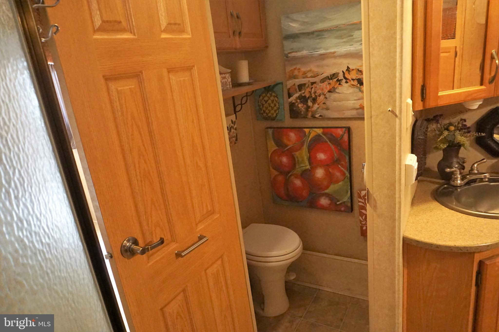 69 Block Falling Waters, WV 25419 - Photo 24 of 34 a bathroom with a toilet and a shower curtain
