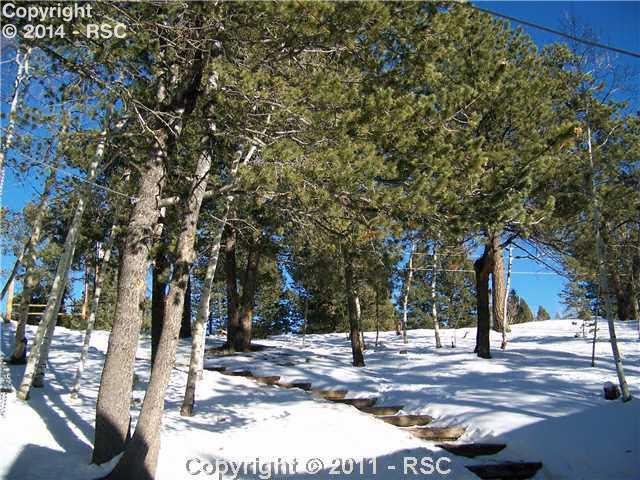 345 Kutsu Ridge Road Florissant, CO 80816 - Photo 11 of 16