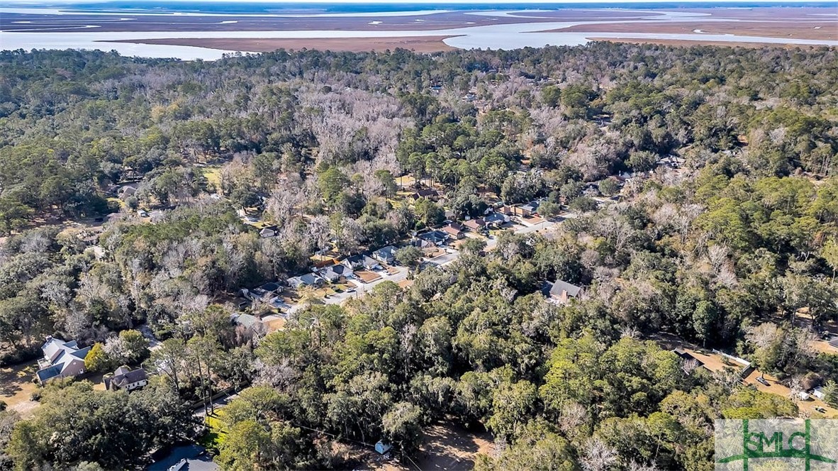 14318 Coffee Bluff Road Savannah, GA 31419 - Photo 12 of 13