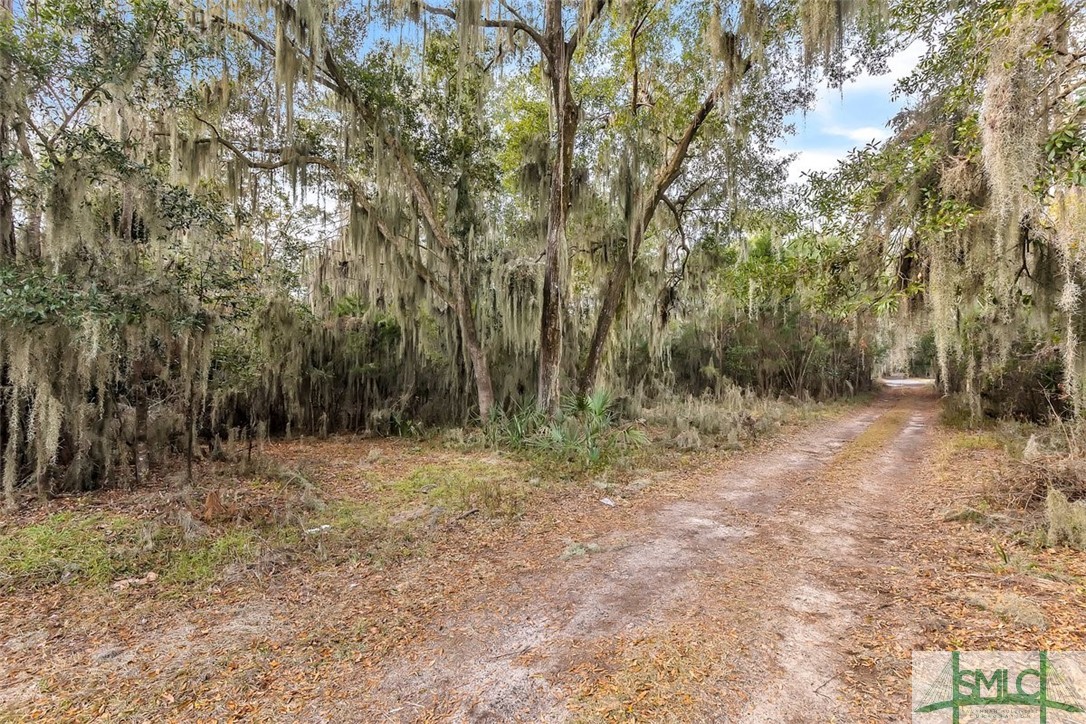 14318 Coffee Bluff Road Savannah, GA 31419 - Photo 2 of 13