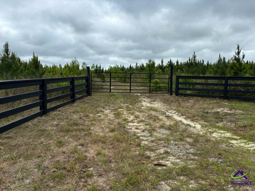 Cactus Hill Road Roberta, GA 31078 - Photo 1 of 7