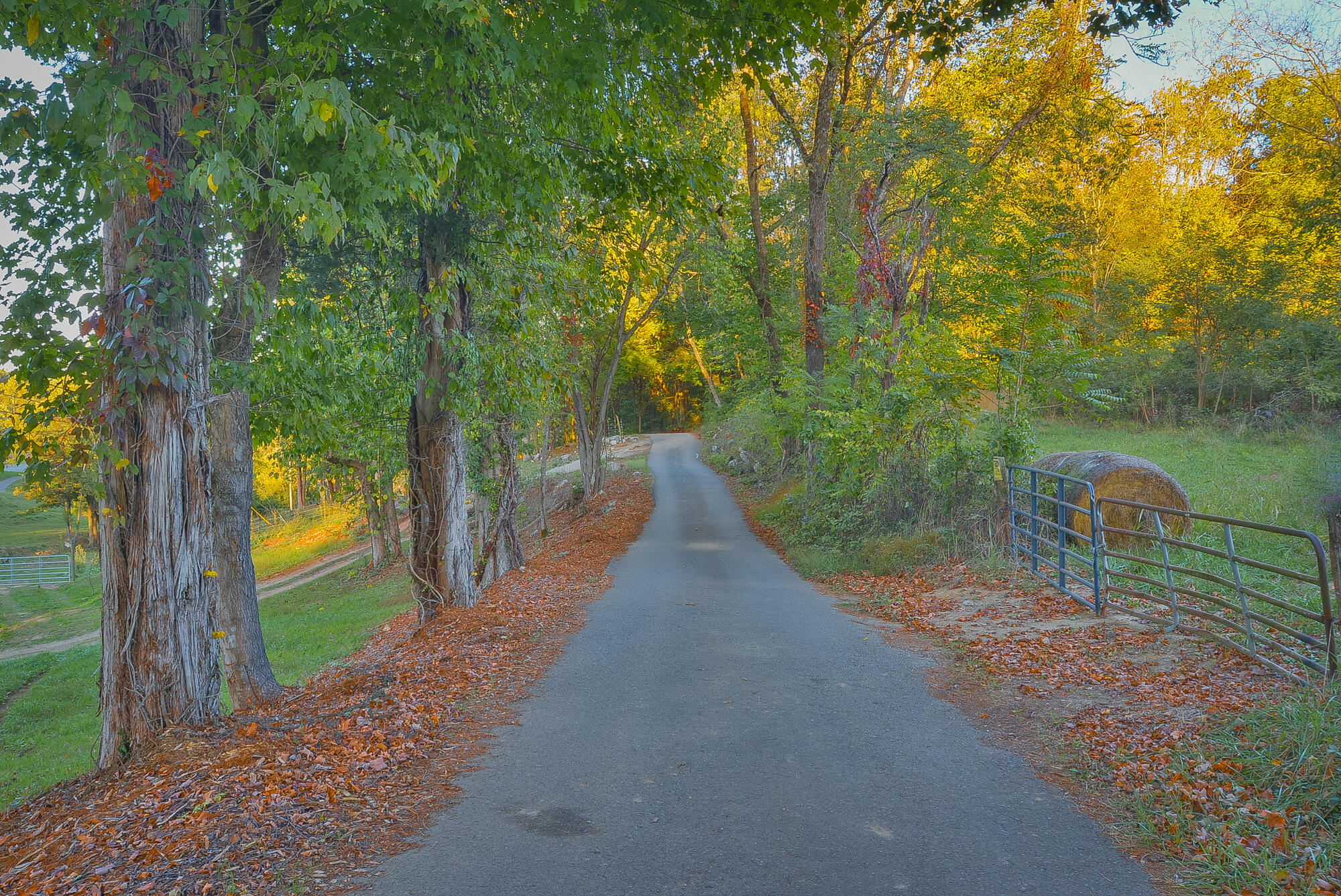 158 Pete Slagle Road Watauga, TN 37694 - Photo 3 of 70 TRB_3562