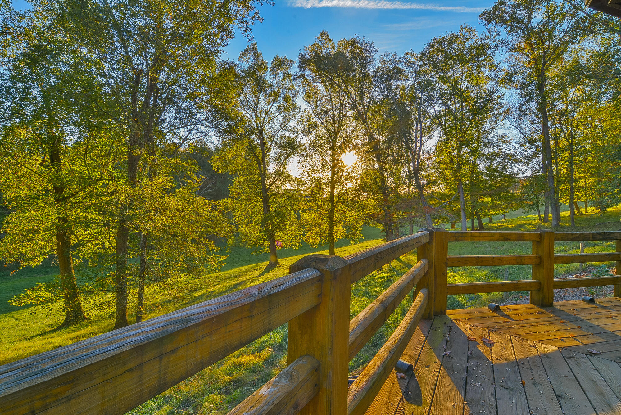 158 Pete Slagle Road Watauga, TN 37694 - Photo 36 of 70 TRB_3551